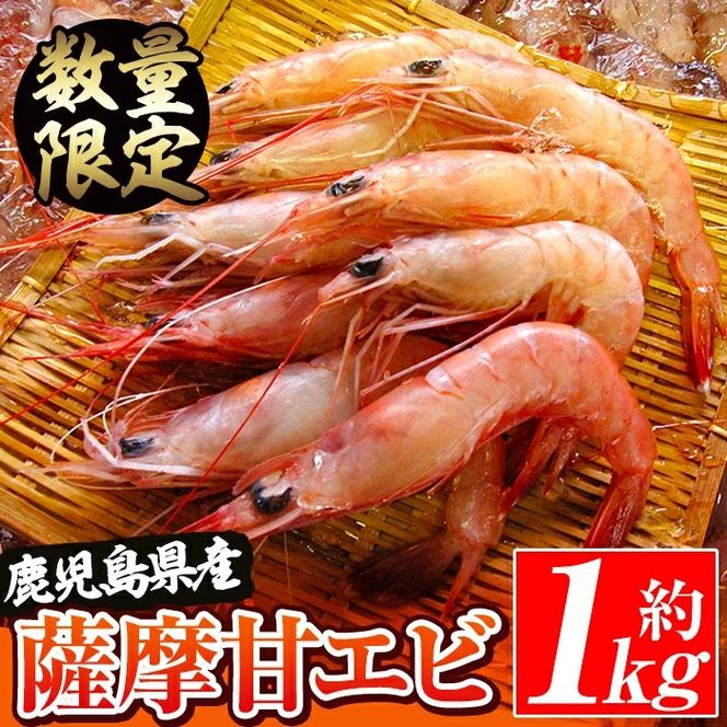 数量限定！鹿児島県阿久根産 薩摩甘エビ(約1kg・40～70尾) 国産 阿久根市産 えび 海老 急速冷凍 冷凍配送 魚貝類 魚介類 海産物 【濱崎魚類】akn023-05
