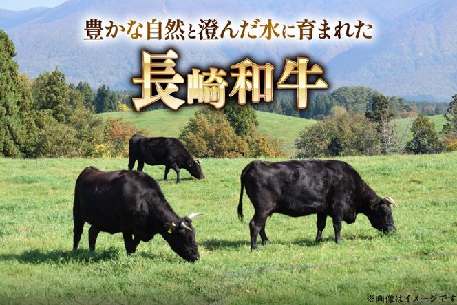 AK025 長崎和牛 サーロイン ステーキ 250g 3パック 計750g [ 牛肉 肉 和牛 ステーキ ロース サーロインステーキ BBQ バーベキュー 焼肉 アウトドア 長崎県 島原市 ]