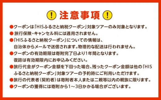 鹿児島県鹿児島市の対象ツアーに使えるHISふるさと納税クーポン 寄附額20,000円　HIS-002
