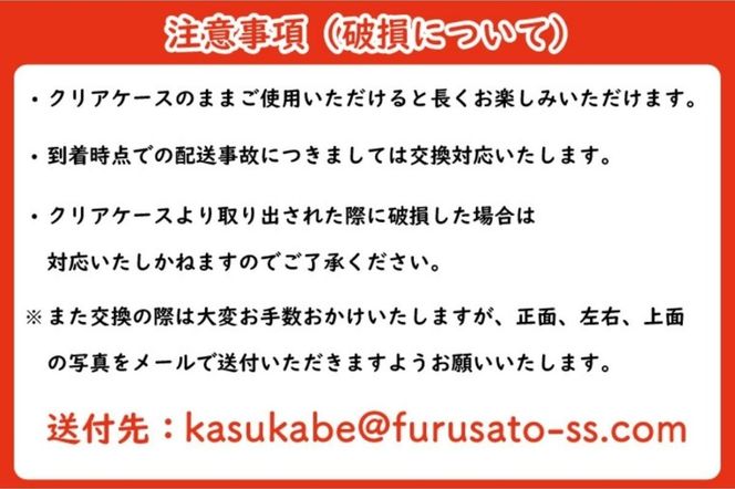 プリザーブドフラワー【ヴェール】【埼玉県 春日部市 シュガーパイン リース 壁飾り ナチュラル インテリア ギフト】(AJ003-1)