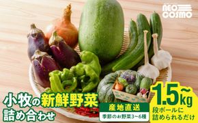 ネオコスモ農園で採れた小牧の野菜詰め合わせ［124N01］