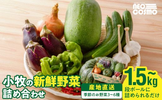 ネオコスモ農園で採れた小牧の野菜詰め合わせ［124N01］