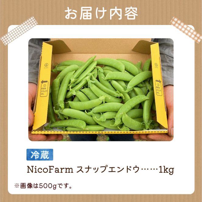 【先行予約：2026年6月上旬頃より発送】甘くてシャキシャキ！ おやつ感覚で食べられる スナップエンドウ 1Kg えんどう豆 夏野菜 おつまみ お弁当 旬の野菜 産地直送 NicoFarm_Y124-0048