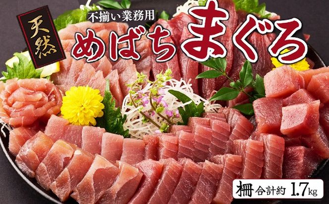 訳あり】天然めばちまぐろ 業務用1.7ｋｇ ( サク 柵 メバチ 目鉢 マグロ 鮪 まぐろ 100% 冷凍 刺身 海鮮 丼 刺し身 小分け 高知 室戸  ) _tk032（高知県室戸市） | ふるさと納税サイト「ふるさとプレミアム」