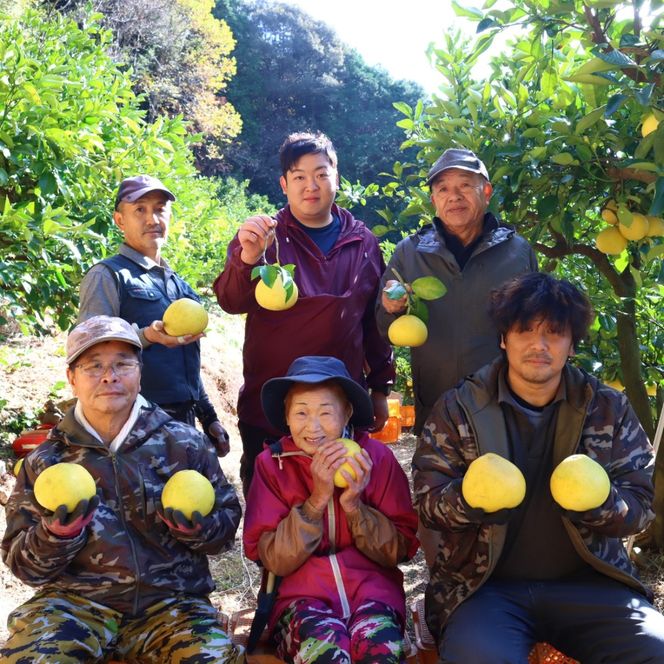 香る！さっぱり！岡林さんの土佐文旦　家庭用10kg