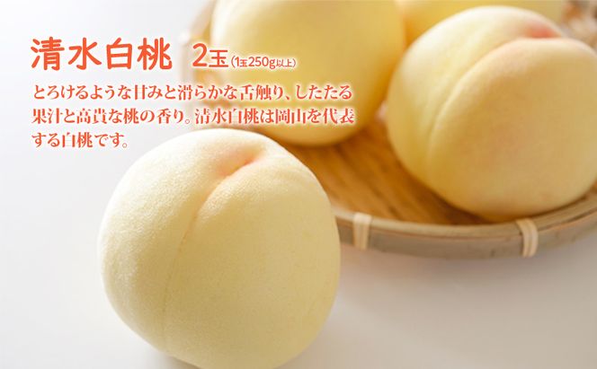 桃 ぶどう 詰合せ 2026年 先行予約 清水 白桃 2玉（1玉250g以上） ニュー ピオーネ 1房 約600g 岡山県 赤磐市産 フルーツ 果物 あかいわファーマーズガーデン