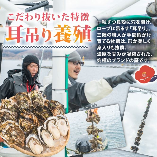 牡蠣 つばき姫 三陸 ブランド牡蠣 2kg 耳吊り 殻付き牡蠣 冷蔵 生食可 生牡蠣 生かき かき カキ 生食 生食用 冷蔵牡蠣 生食牡蠣 牡蠣フライ 牡蠣鍋 牡蠣飯 鍋 アヒージョ パスタ 海 ミルク 椿 姫 期間限定 三陸産 ブランド 三陸牡蠣 殻付き 生食対応 養殖 さんりく 岩手県 大船渡市