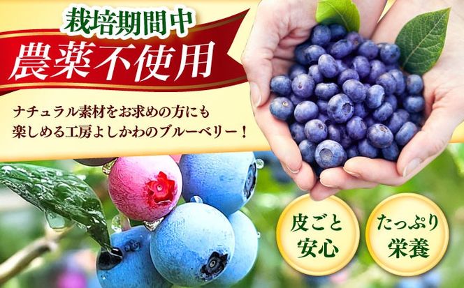 築上町産 冷凍 ブルーベリー 1kg 《築上町》【(有)工房よしかわ】国産 ブルーベリー [ABAK001]