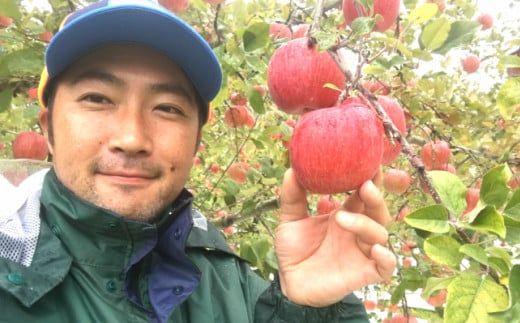【予約受付】【贈答用】味の良い岩手の蜜入り サンふじ 約3kg 【652】