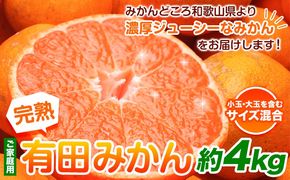 家庭用 完熟 有田みかん 4kg+120g （傷み補償分）【光センサー選果】池田鹿蔵農園@日高町（池田農園株式会社）《11月中旬-1月末頃出荷》和歌山県 日高町 訳あり わけあり みかん【配送不可地域あり】---wsh_idn148_11c1m_24_10000_4kg---