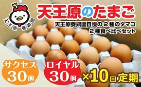 【定期便】10回定期【天王原のたまご】 サクセス卵30個/ロイヤル卵30個 【10回定期便 セット たまご 卵 玉子 タマゴ 濃厚 食べ比べ ハリ 弾力 ボリューム 甘味 旨味 卵黄 風味 生 コク 甘味 卵かけご飯 卵焼き 目玉焼き オムレツ 茶碗蒸し お菓子作り パンの材料】