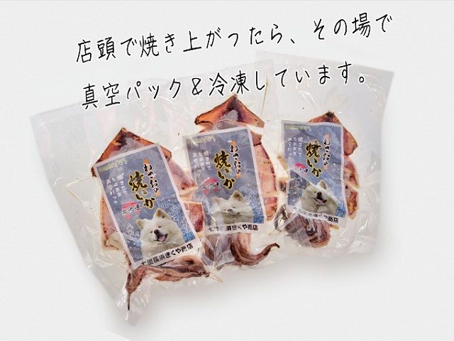 わさおの店の炭火焼きいか 3パック 200g以上×3枚 魚貝類 イカ 加工食品 