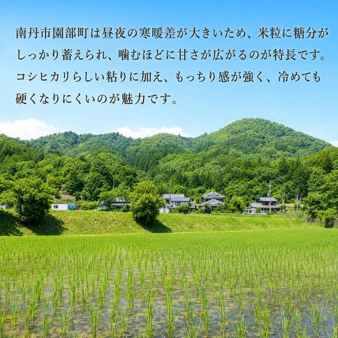【先行予約】無洗米令和8年産 コシヒカリ 5kg 【 お米 米 コメ 精米 南丹市 】 令和8年 5キロ 新米 新米26