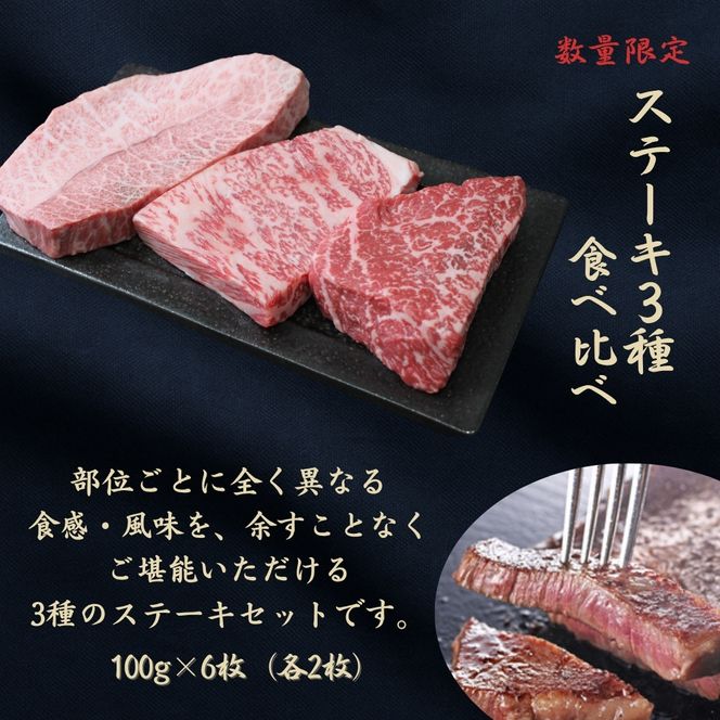 京都府産黒毛和牛【京の肉】 ステーキ 食べ比べセット 600g