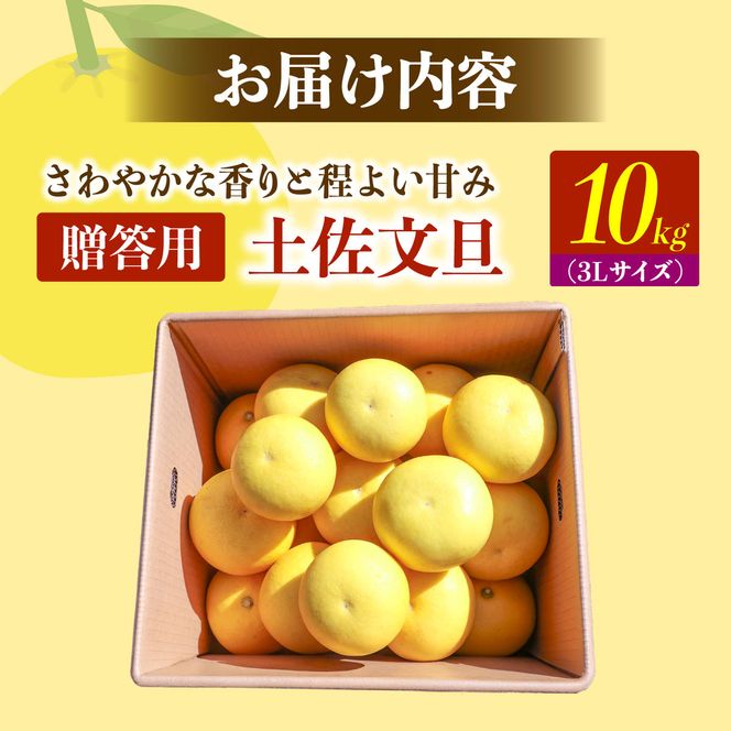 【先行予約】土佐文旦の創始 宮地文旦園の土佐文旦 贈答用3L 大玉 約10キロ 16～19個入り 10kg〈2027年3月上旬～4月下旬〉 ぶんたん ブンタン フルーツ 柑橘 みかん 果物 くだもの 柑橘類 デザート 高知県 土佐市【宮地文旦園】[BQBP007]