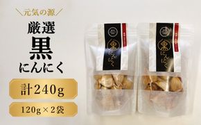 元気の源　黒にんにく　240g [No.672]
