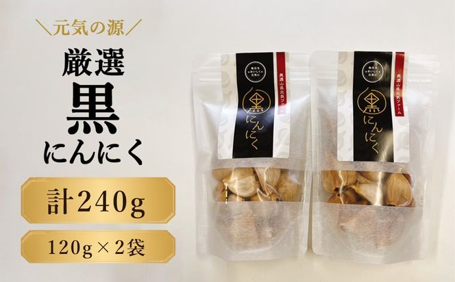 元気の源　黒にんにく　240g [No.672]