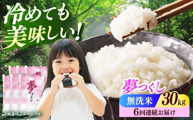 【全6回定期便】【令和7年度産】無洗米 夢つくし 30kg 精米 有限会社ファインリョーコク/築上町[ABCO044]