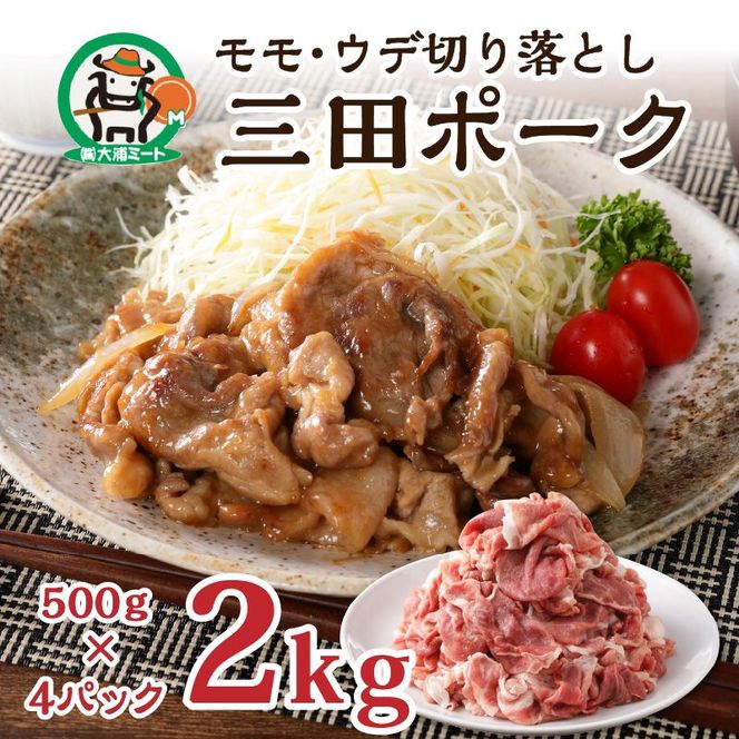 三田ポーク もも・ウデ切り落とし 2kg(500ｇ×4パック)【2401A00209】