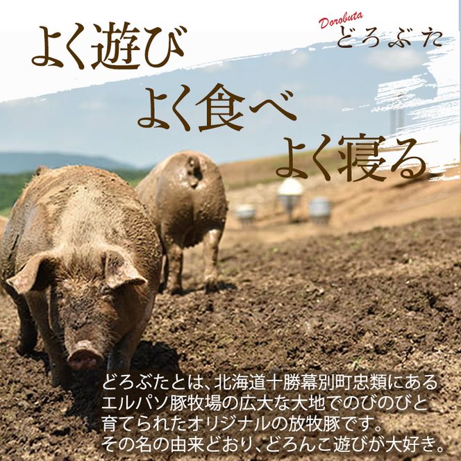 十勝幕別産ブランド放牧豚［どろぶた］バーベキューセット【 北海道 豚肉 ウィンナー ベーコン ジンギスカン とんかつ バラ スライス 惣菜 おかず 】 