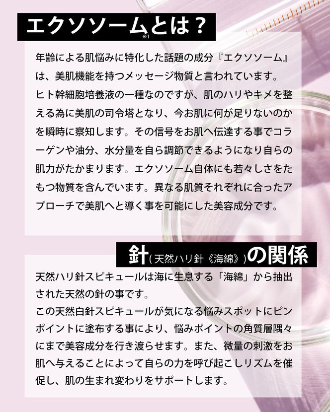 【MARK AID】エクソスピキュールクリーム 2本セット【エクソソーム針クリーム】［ 京都 美容 ブランド 年齢による悩みに濃厚 保湿クリーム 寝ている間にハリ感向上 人気 おすすめ スキンケア用品 基礎化粧品 化粧品 美容クリーム お取り寄せ 通販 送料無料 ふるさと納税 ］ 261009_B-UA13