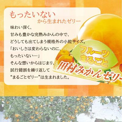 田村みかん フルーツまるごと ゼリー セット (約94g×12個入り)_AY6103