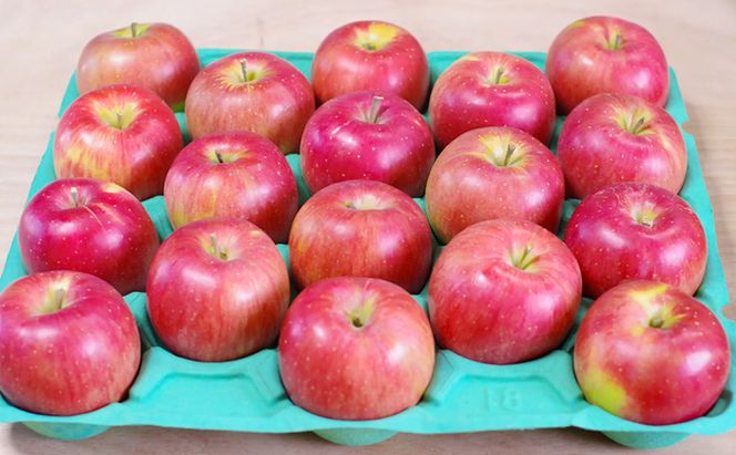 シナノスイート 約5kg りんご リンゴ 林檎 果物 フルーツ 長野県 長野 山ノ内町