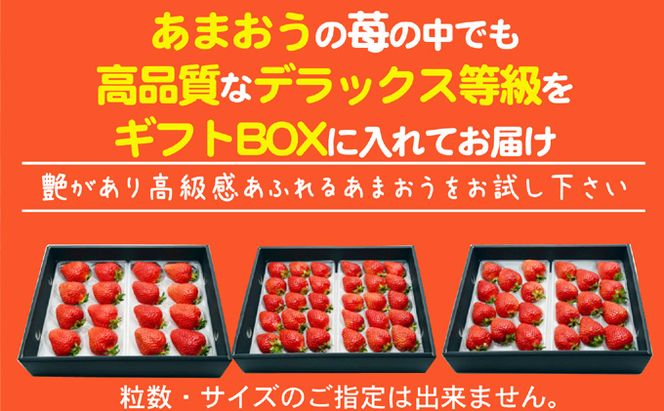 あまおう DX等級以上 約300g×2パック ※配送不可：北海道・東北・沖縄・離島 果物 苺 フルーツ デザート 旬 大粒 中玉 大玉 旬のあまおう 福岡の特産品 