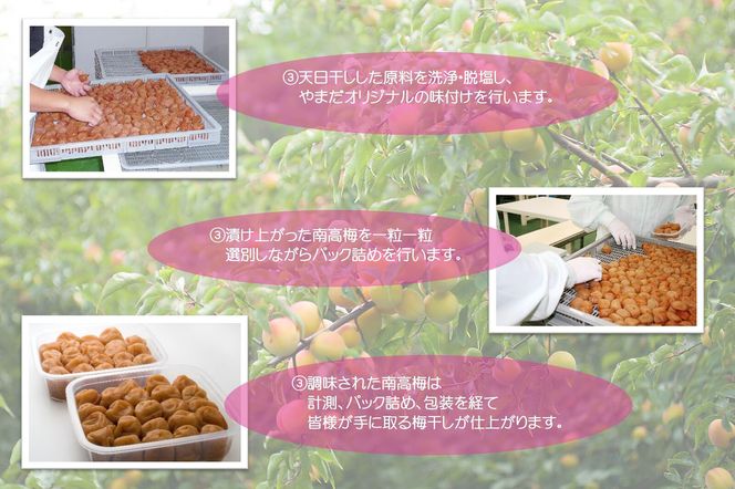 【定期便・2ヵ月毎 全5回】紀州南高梅 プレミアム 850g ［YM12］ 303446_DX90027