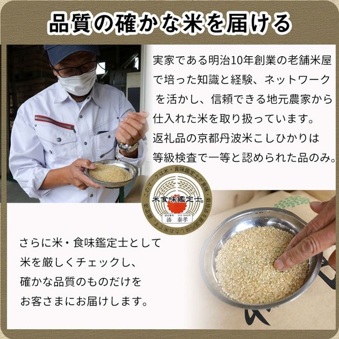 【12月末まで】【毎月1回お届け】【定期便】令和7年産 新米 京都丹波米 こしひかり10kg×12回 計120kg 米 12ヶ月 白米 12回定期便 ※精米したてをお届け コシヒカリ ※北海道・沖縄・離島への配送不可