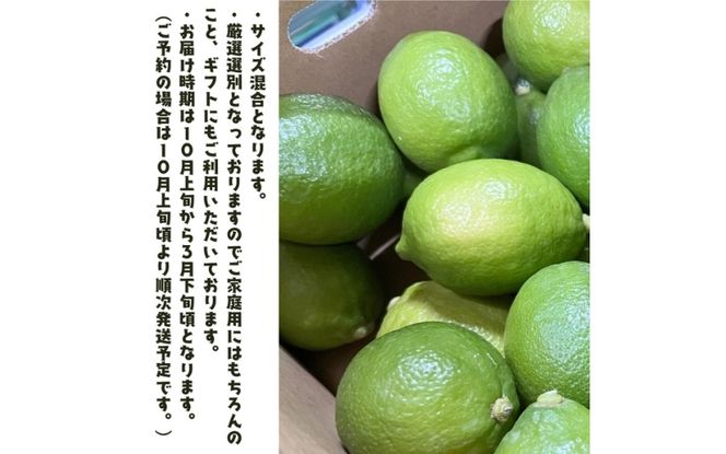 【国産】紀州和歌山 有田レモン 2kg+200g(痛み補償分) ※2026年9月下旬～2027年3月下旬に順次発送【ard031B】
