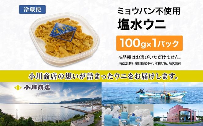 ミョウバン不使用 塩水 ウニ100g 1パック 7月下旬頃までお届け [水揚げ後 順次出荷] キタムラサキウニ うに ウニ 雲丹 ムラサキウニ 魚貝 魚介 海鮮 海産 小川商店 送料無料 北海道 洞爺湖