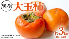 旬な大玉 柿 約3kg 10～14個 【2025年10月上旬発送開始】(茨城県共通返礼品：大子町) 柿 かき カキ 果物 フルーツ 旬 季節限定 期間限定