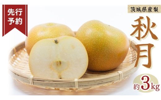 《 先行予約 》秋月 6～9玉 ( 約3kg ) 【 2026年8月下旬発送開始】 フルーツ 果物 なし ナシ 旬 新鮮 旬 期間限定 甘い 国産 [DV003us]