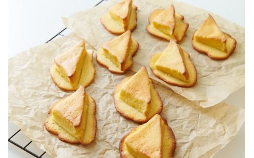 yRRszD402 Op`[YThpv~APO