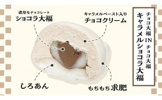 【 菓子庵たちかわ 】 スイーツ大福 お試し 6種 セット ( 8個入 × 1箱 ) 手作り もちもち スイーツ いちご大福 いちご イチゴ 苺 さくらんぼ みかん オレンジ パイナップル お茶 茶 栗 くり 芋 イモ ようかん 羊羹 チーズ チョコ チョコレート バター 生クリーム フルーツ 果物 和菓子 菓子 お菓子 餡子 あんこ [AY021ci]