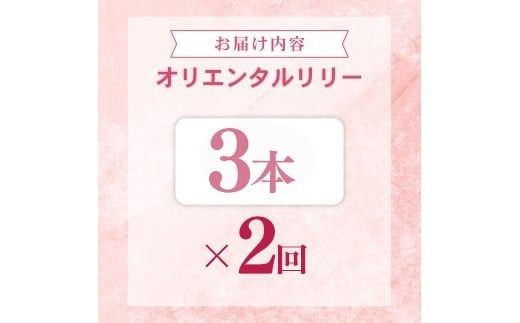 定期便2回 ユリ オリエンタルリリー 3本 花 切り花 プレゼント 贈り物 ギフト 誕生日 記念日 つぼみ 大輪 ピンク 白 香り 優雅 華麗 ブーケ フラワーアレンジメント 観賞用 インテリア 季節の花 高級感 花束 生花 福田園芸 オリエンタルハイブリッド 安芸市 高知県