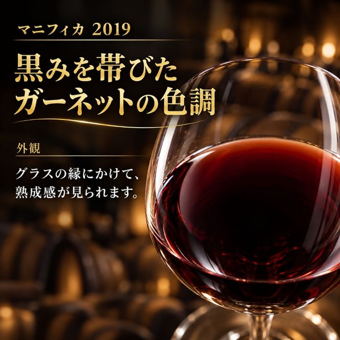 ワイン 信州ワイン 赤 千曲川 マスカット・ベーリーA 750ml 1本 赤ワイン マンズワイン 酒 お酒 洋酒 果実酒 ぶどう酒 長野 長野県小諸市