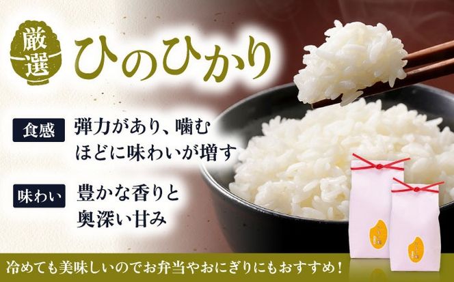 いとし米 厳選ヒノヒカリ Premium Gift 2kg×2袋 ライスバッグ付 糸島市 / 三島商店 / 米 ヒノヒカリ ギフト [AIM080]  米 お米 ご飯 白米 ヒノヒカリ 九州 福岡 糸島 4キロ ギフト