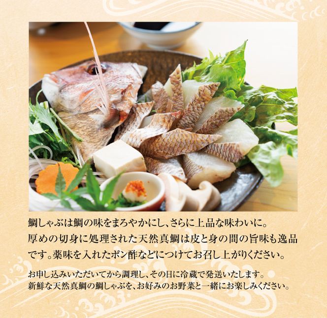 淡路島「天然岩屋鯛」しゃぶしゃぶセット(約3人前)【お届け日指定返礼品】