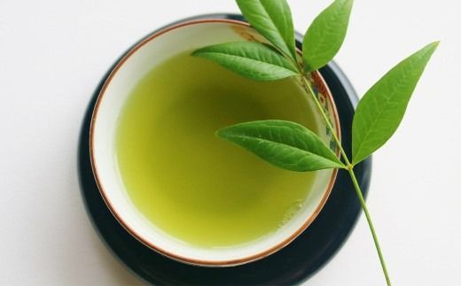 八女茶【 特上 】 煎茶セット 100g × 2袋 お茶 煎茶 緑茶 茶 飲み物 飲料 セット 常温 福岡県