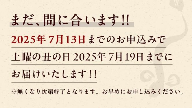 【 麻布しき 】 国産 有頭 鰻蒲焼 × 3尾 【 数量限定 寄附額 25000円 → 21000円 】うなぎ ウナギ 冷凍 蒲焼き かばやき たれ焼き 土用 丑の日 食べきり タレ 山椒 付 縁起 敬老の日 名店 老舗 土用の丑の日 鰻祭り [DJ012us]