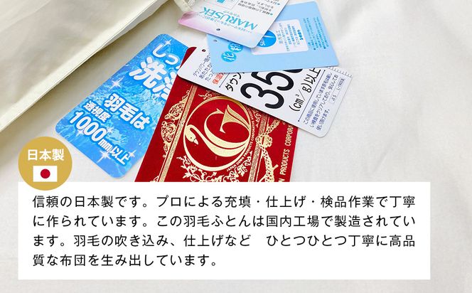 薄掛け羽毛 合い掛け 日本製 600g エクセルゴールド 軽量生地 ふわかる1506 