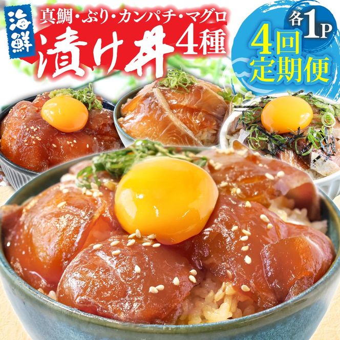 【CF-R7hbk】漬け丼セット4種 80g×各1P 4回定期便 海鮮丼 海鮮丼セット 真鯛 ブリ カンパチ マグロ 海鮮 漬け お茶漬け 鯛 ぶり 鰤 勘八 かんぱち まぐろ 小分け パック ご飯 晩御飯 惣菜 刺身 冷凍 配送