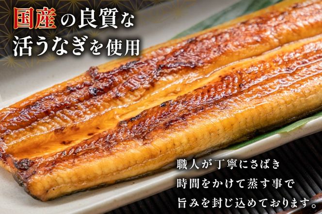 うなぎ 国産 おこわ 50g ×8 計400g【綱正】[フーズ・ユー 静岡県 吉田町 22424187] 鰻 ウナギ 蒲焼 蒲焼き 詰め合わせ 冷凍 おにぎり 個包装 ご飯 ごはん