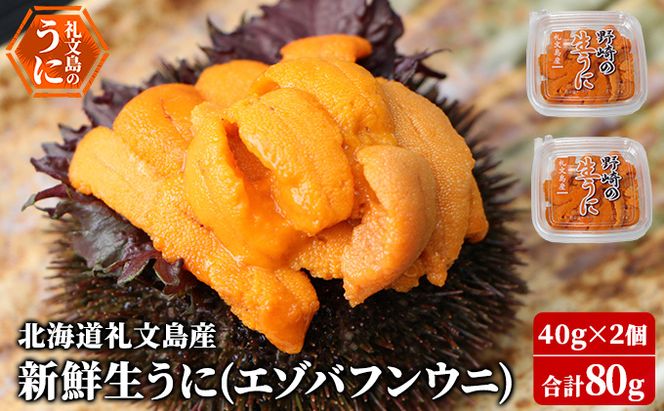 北海道 礼文島産 新鮮生うに エゾバフンウニ 40g×2パック［野崎水産］【 うに ウニ 雲丹 生うに バフンウニ 素材本来の味 海鮮 うに丼 甘み 産地直送 】