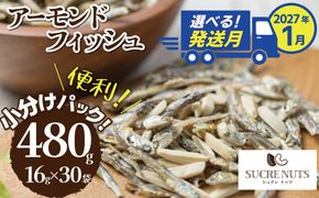 【2027年1月発送】 手軽に健康習慣 小分けのこざかなアーモンド カシューナッツ入り 480g(16gｘ30袋) おうち時間 おやつ 大満足 美容 健康 栄養豊富 人気 高リピート ナッツ  H059-179_Jan