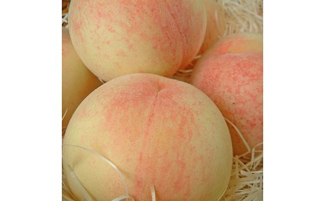 桃 2026年 先行予約 白桃 白鳳 約750g 3玉 もも 岡山県 赤磐市産 フルーツ 果物 あかいわファーマーズガーデン 果物類