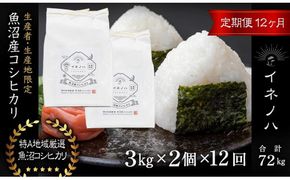 ＜定期便・全12回＞【令和7年産】魚沼産コシヒカリ「イネノハ 」精米(3kg×2)×12回 お米 白米 ご飯 産地直送 ミネラル 栄養分 こだわり 人気 新鮮 