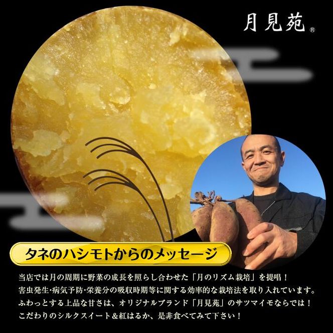 【先行予約】【2026年11月より順次発送開始】特選さつまいも　シルクスイート＆紅はるか詰め合わせ 約5kg｜さつまいも 芋 お芋 シルクスイート 紅はるか 詰め合わせ タネのハシモト 茨城県 行方市(BS-2)